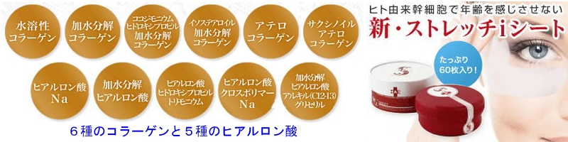 �X�g���b�`i�V�[�g�^�V�����f�B���T�C�g